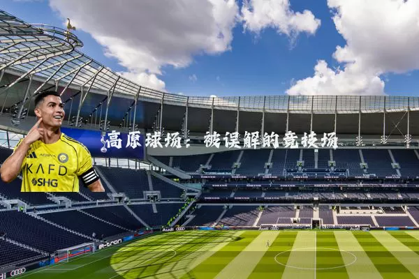高原球场：被误解的竞技场